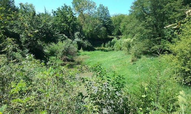 Wilderness Park