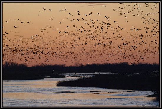 Platte River